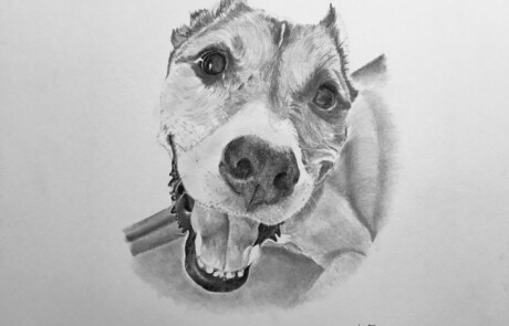 ShadedHues Bear Animals Portrait