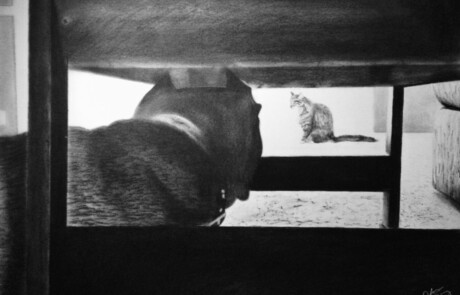 ShadedHues Bear 'n Taz Animals Portrait