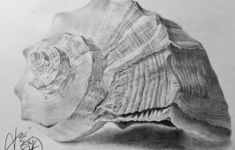 ShadedHues Conch Stuff Portrait