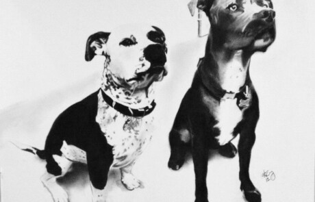 ShadedHues Dante 'n Shadow Animals Portrait